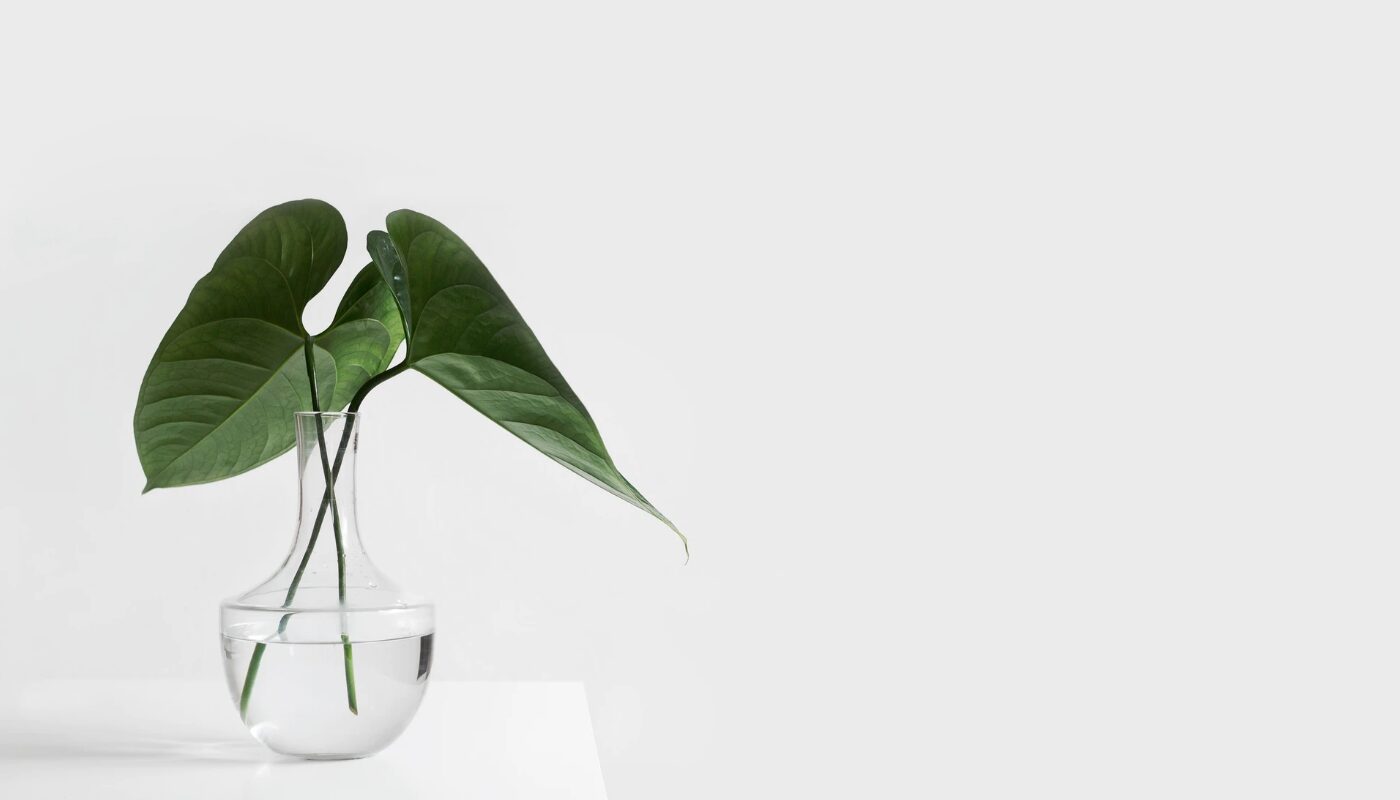 Norland Building Chermside